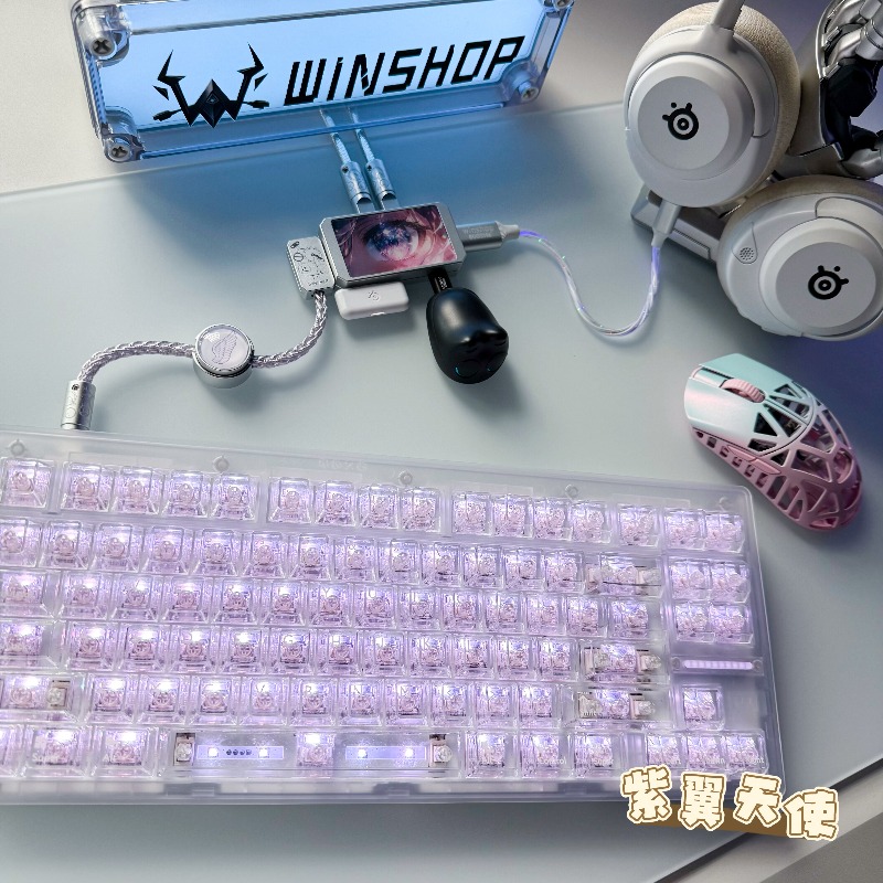 WINSHOP Esports HUB Dual-In 4- - Desk Setup Accessories Aesthetic のレビューと価格